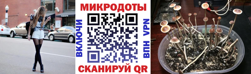Галлюциногенные грибы ЛСД  наркотики  Пустошка 
