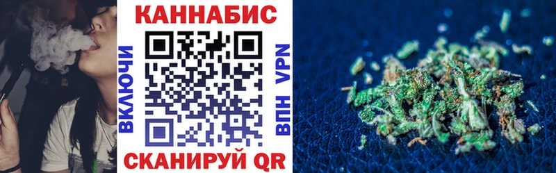Бошки Шишки планчик  Пустошка 